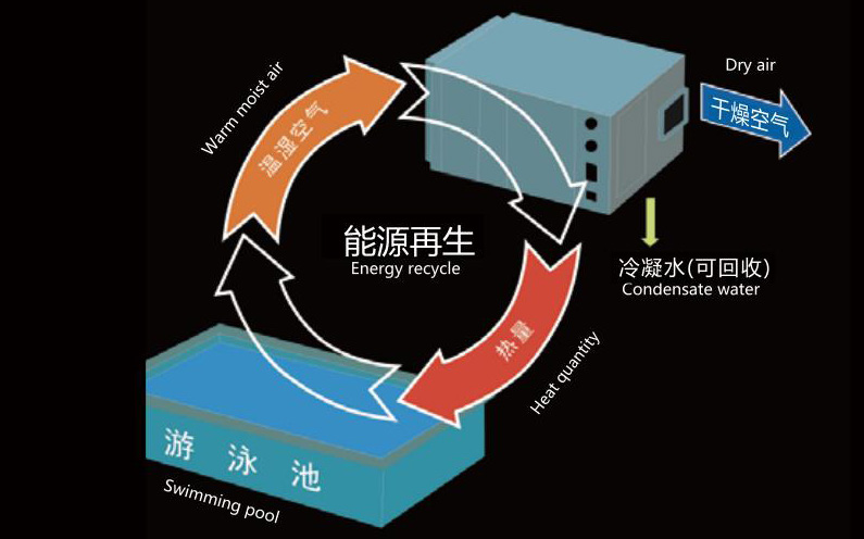 游泳池設計方案