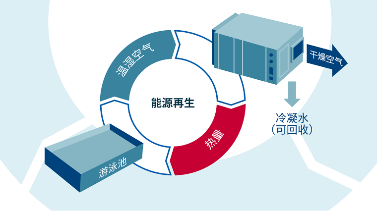 室內游泳池,游泳池除濕加熱,室內恒溫泳池