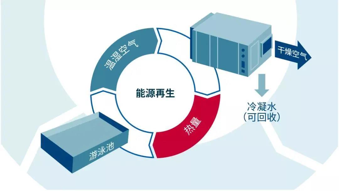 低氯游泳館,無氯游泳池,低氯泳池，低氯系統(tǒng)