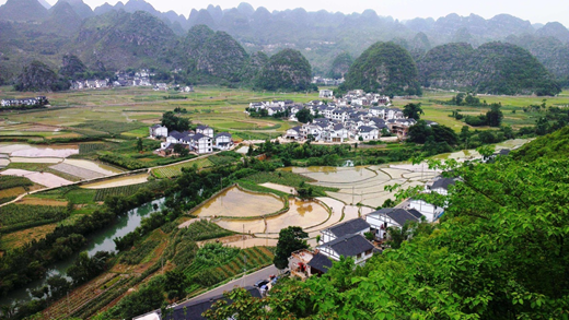 鄉村振興,戴思樂鄉村振興