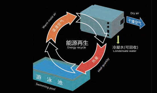 普派克泳池專用三集一體機